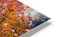 Autumn  HD Metal print