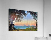sunset trees hawaii Acrylic Print