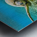 Waving Turtle  Metal print