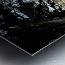 sunset trees hawaii Metal print