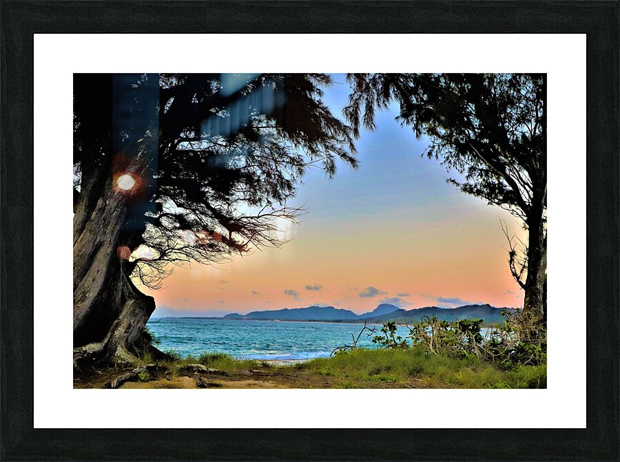 sunset trees hawaii Picture Frame print