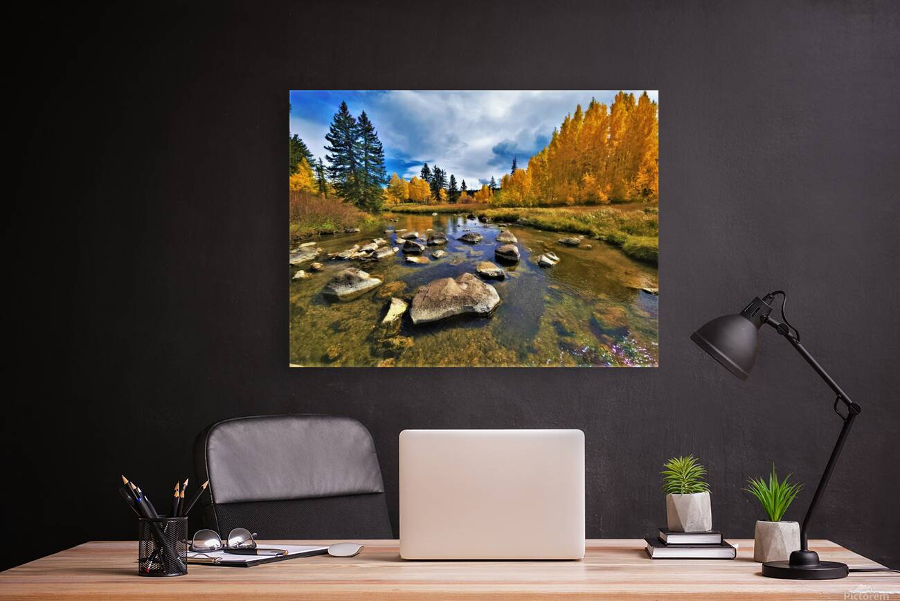 Duck Creek fall 22 Reproduction