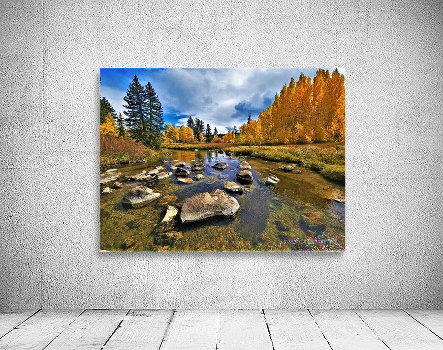 Duck Creek fall 22 Wall Preview