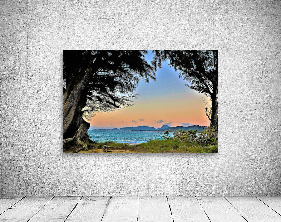 sunset trees hawaii Wall Preview