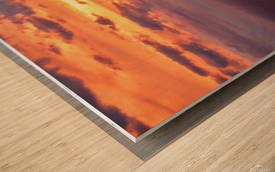 Sailboat Kaanapali Wood print