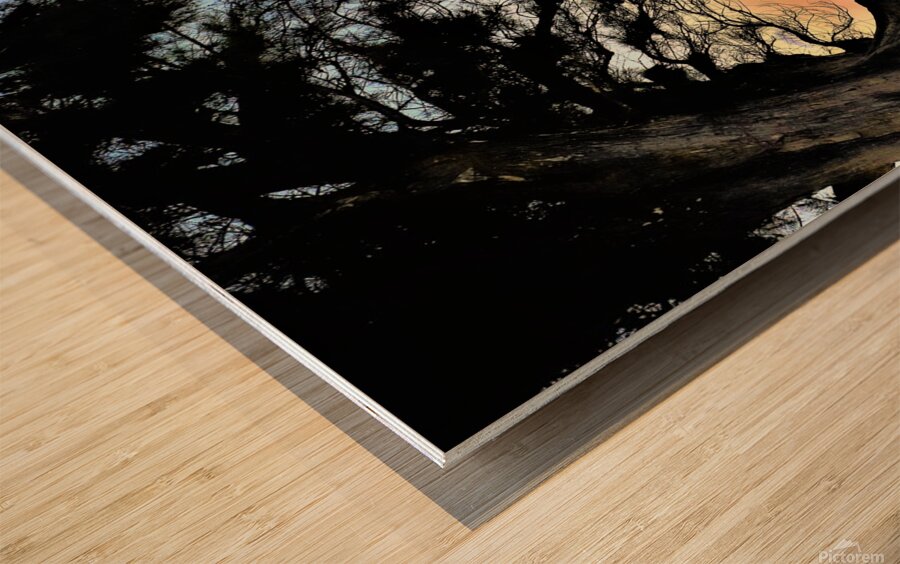 sunset trees hawaii Wood print