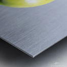 Green Apple Metal print