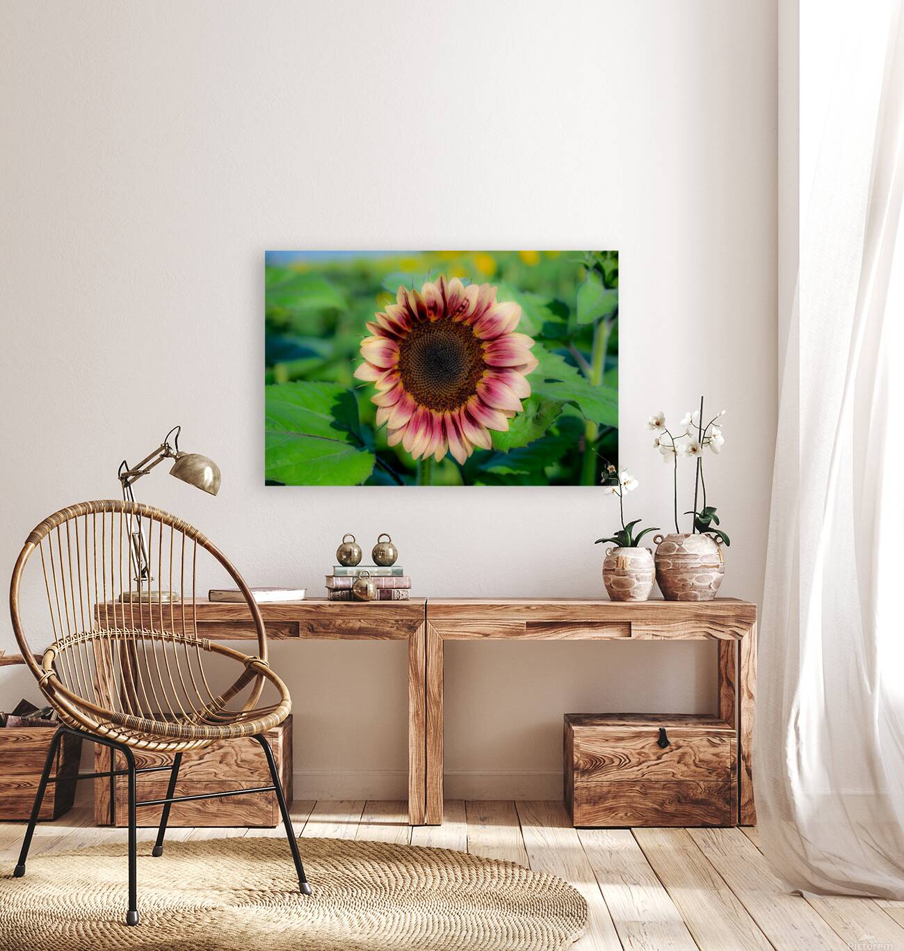 Dreamy ProCut Plum Sunflower Reproduction