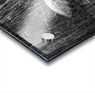 10673 Great Blue Heron Ardea herodias Acrylic print