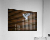 10296 B  Whiting Acrylic Print