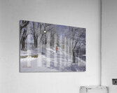 11468 Winter Wonder Acrylic Print