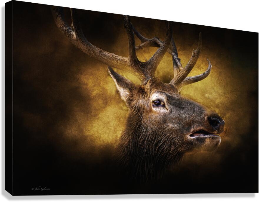 10920 Elk  Parc Omega