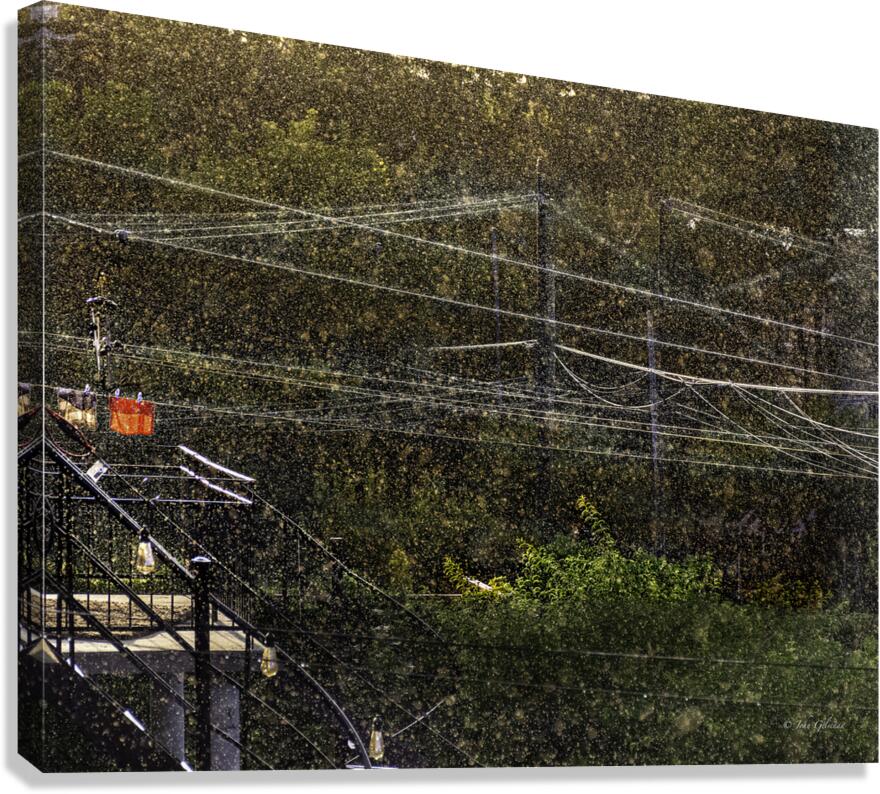 10461 Light Summer Rain