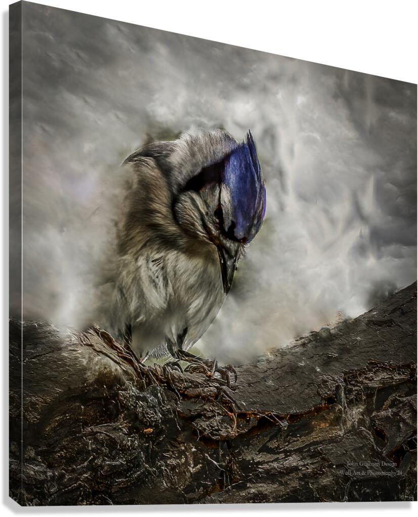 10549 Blue Jay Breakthrough