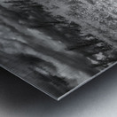 11552 Grazing in the Fields Metal print