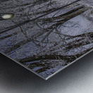 11468 Winter Wonder Metal print