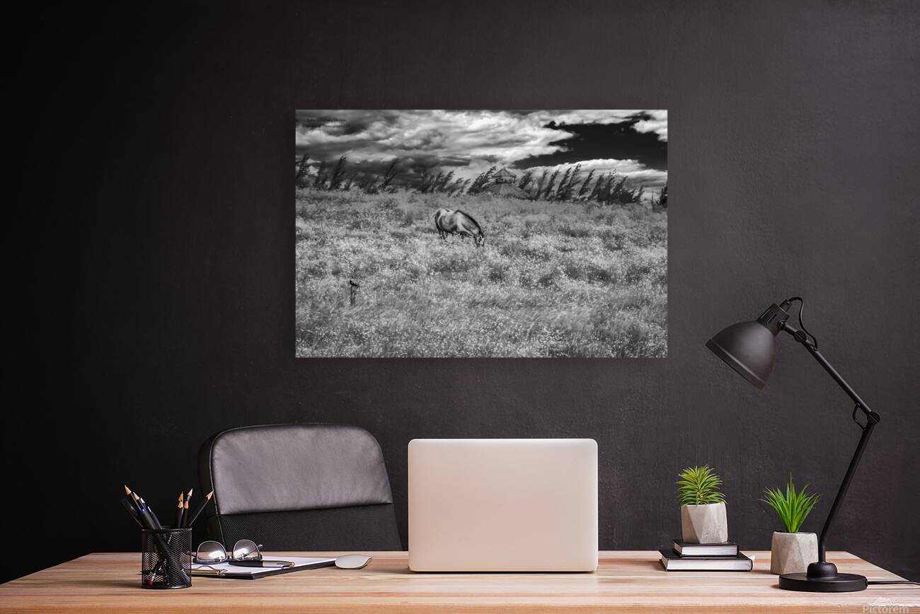 11552 Grazing in the Fields Reproduction