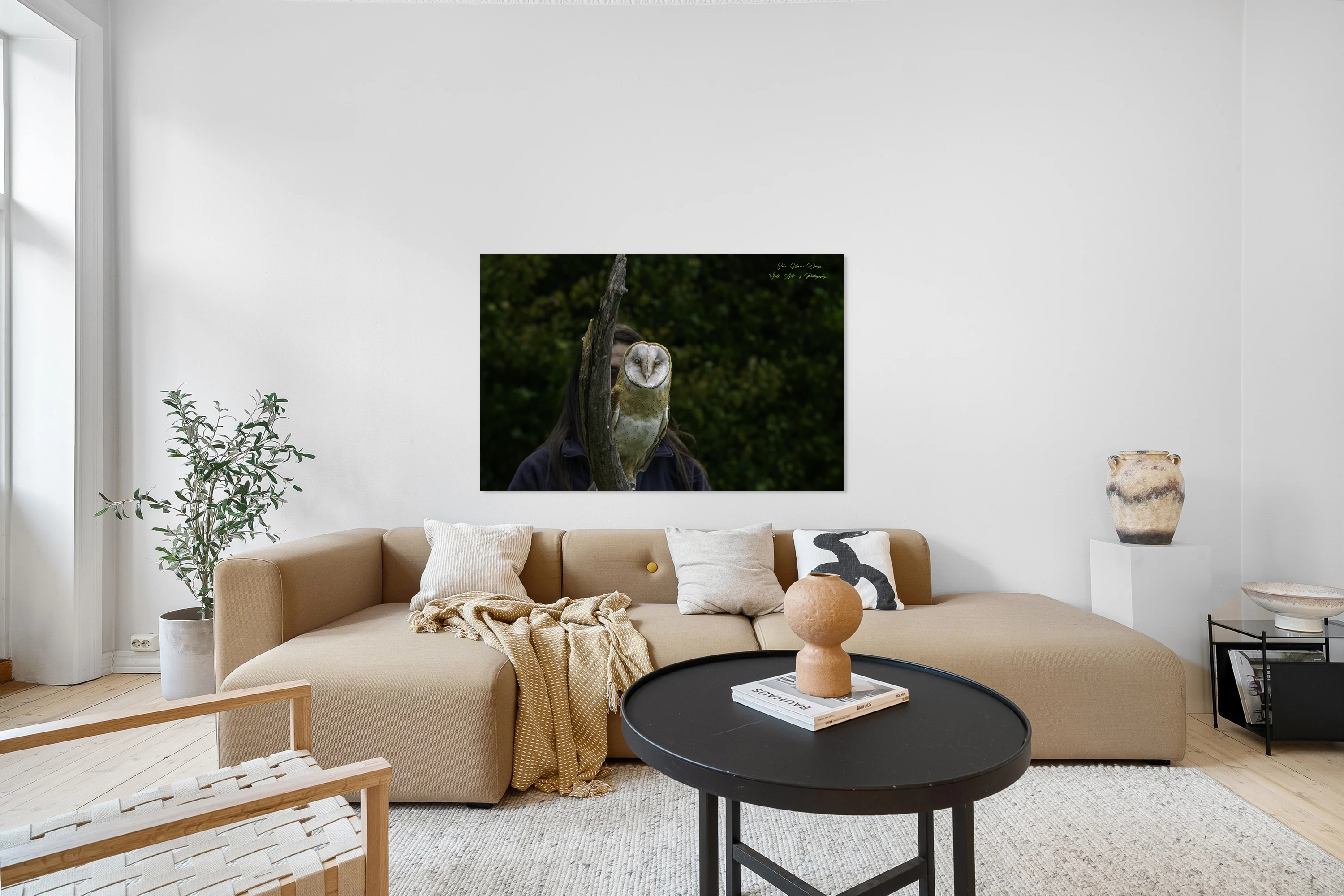 11621 Working Barn Owl with Handler