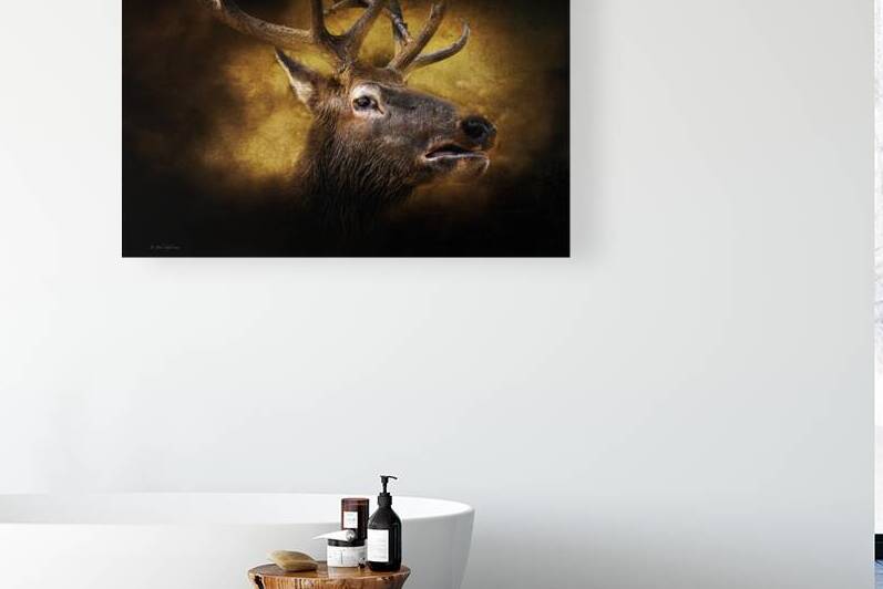 10920 Elk  Parc Omega by John Gilsenan Design Wall Art and Photography