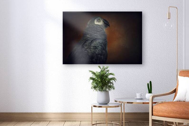 10961 Bentley Bird by John Gilsenan Design Wall Art and Photography