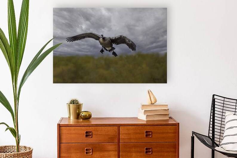 10487 Landing Gear by John Gilsenan Design Wall Art and Photography
