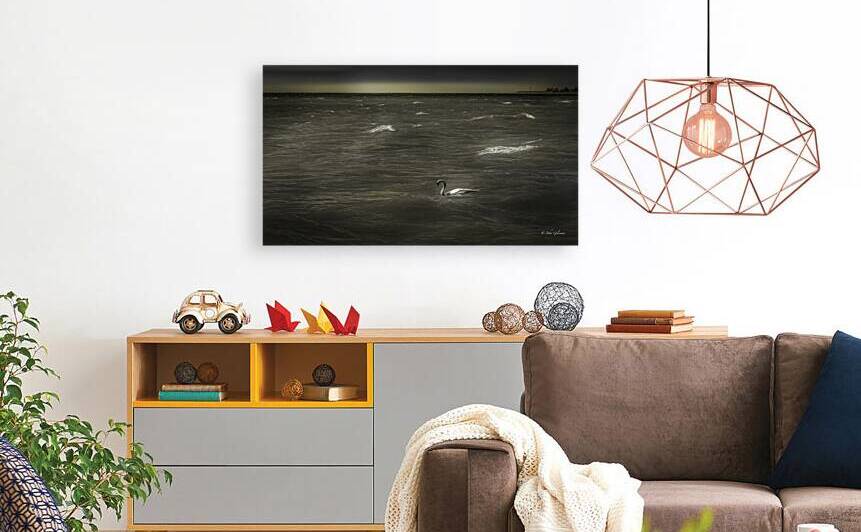 11361 Un Cygne Muet sur le Lac by John Gilsenan Design Wall Art and Photography