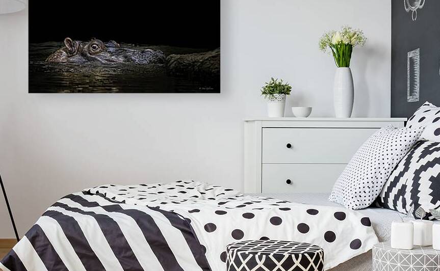 10493 Eye C U  by John Gilsenan Design Wall Art and Photography
