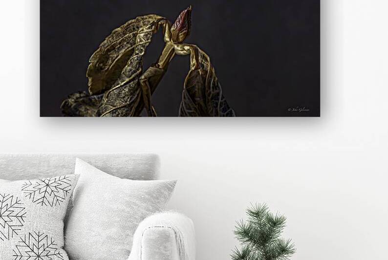 11056 Fruits de la morelle douce  by John Gilsenan Design Wall Art and Photography
