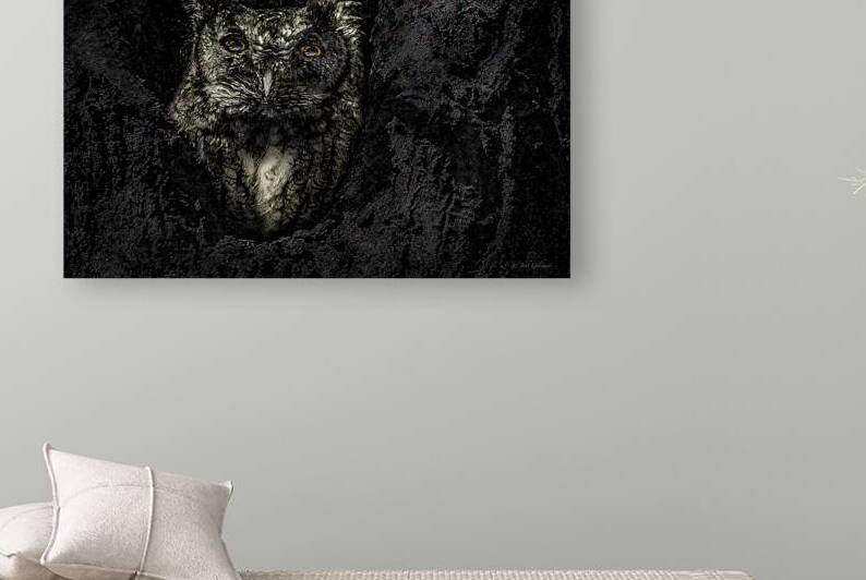 10616 Eastern Screech Owl. Megascops asio  by John Gilsenan Design Wall Art and Photography