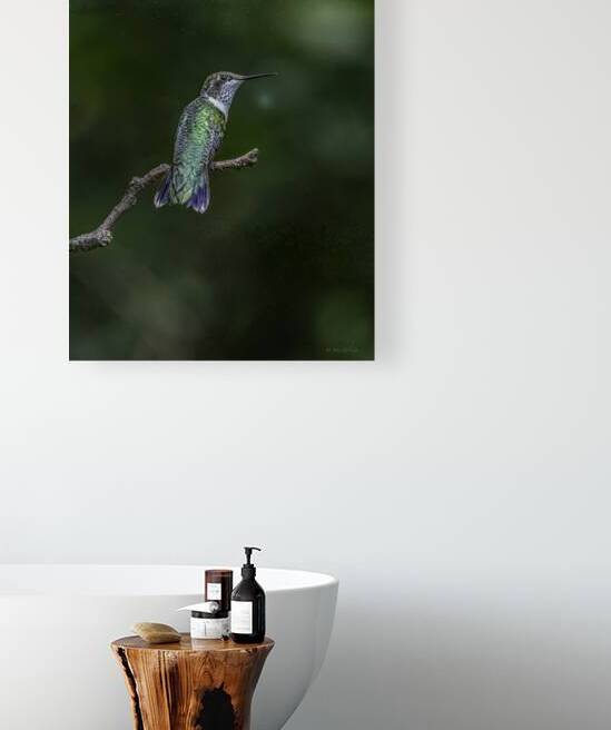 11496 Berylline Hummingbird  by John Gilsenan Design Wall Art and Photography