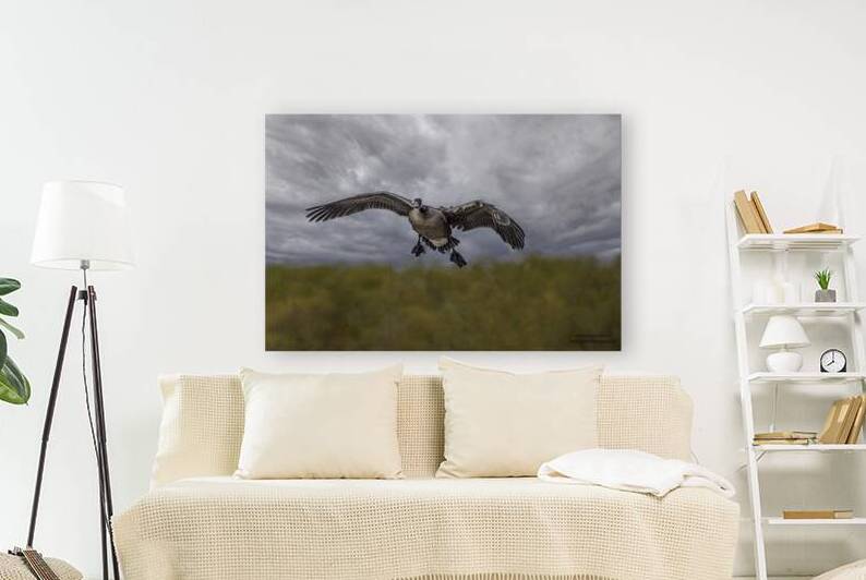 10487 Landing Gear by John Gilsenan Design Wall Art and Photography