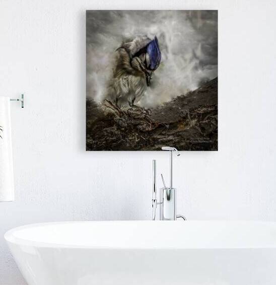 10549 Blue Jay Breakthrough by John Gilsenan Design Wall Art and Photography