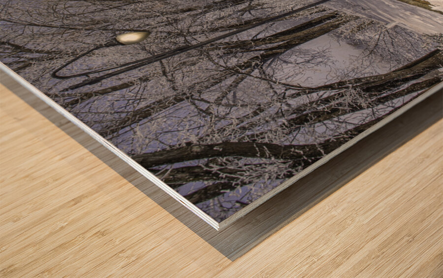 11468 Winter Wonder Wood print