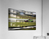  DSC0463 Acrylic Print