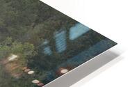 Demitria Chalkias HD Metal print