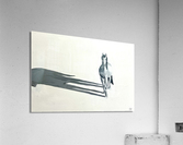 Couldnt Drag Me Away Acrylic Print