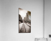 On the Tracks Acrylic Print