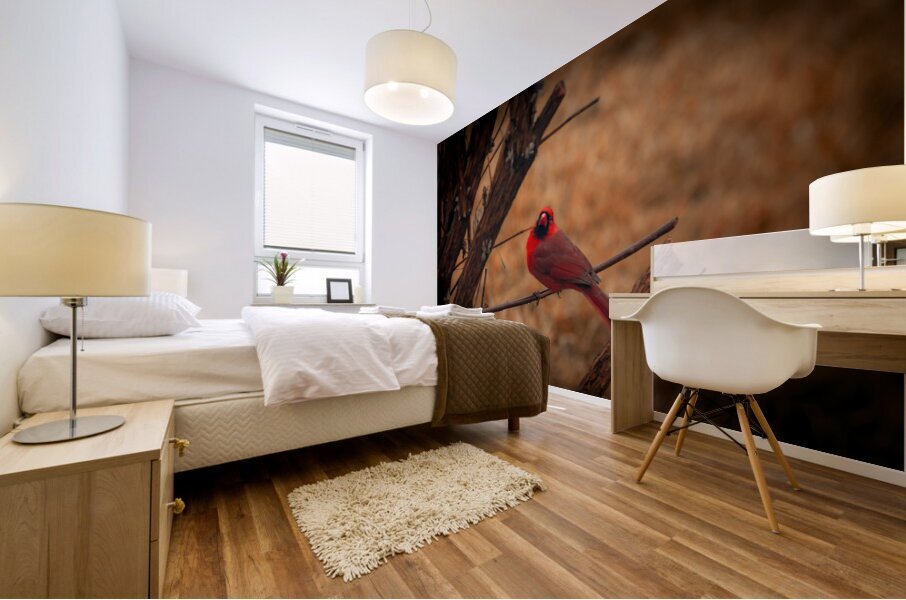 Cardinal  Mural print