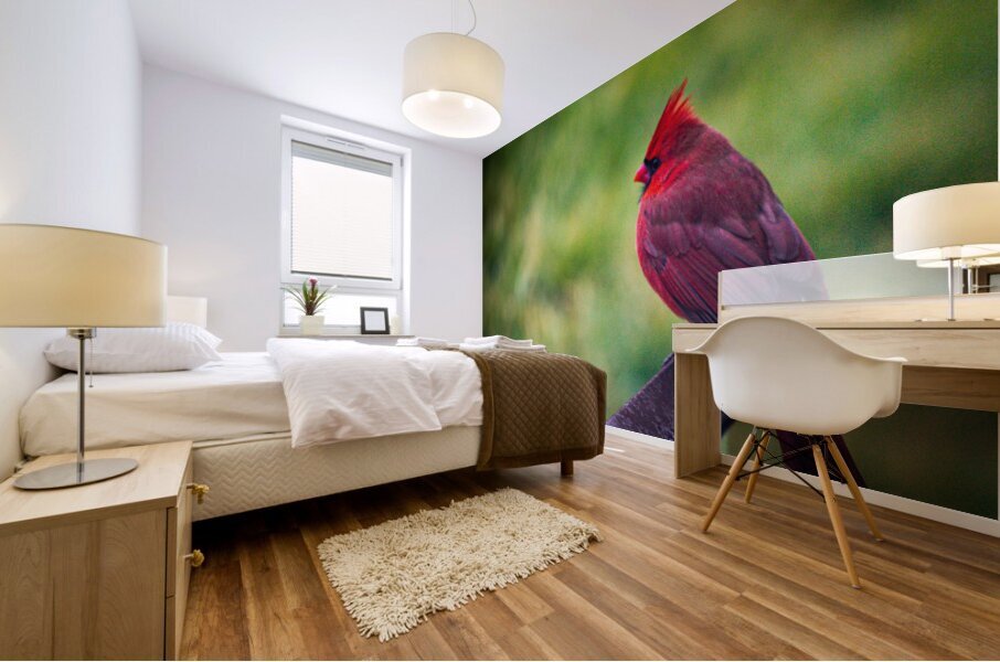 Cardinal Mural print