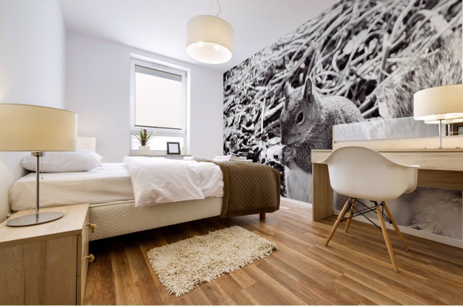 Squirrel Mural print