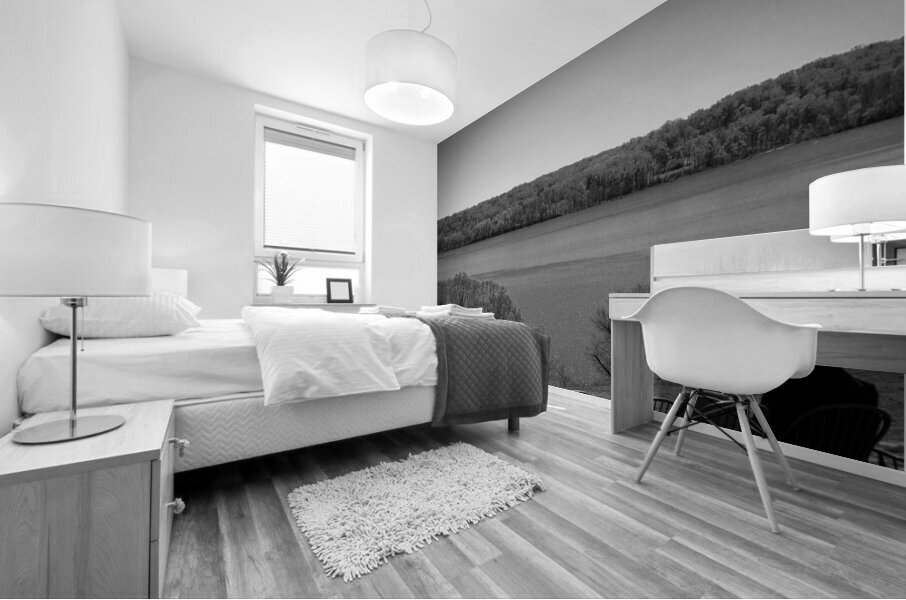 Peaceful Mural print