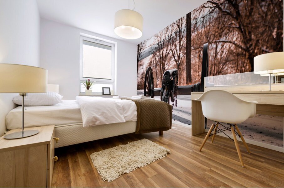 Winter Canon Mural print
