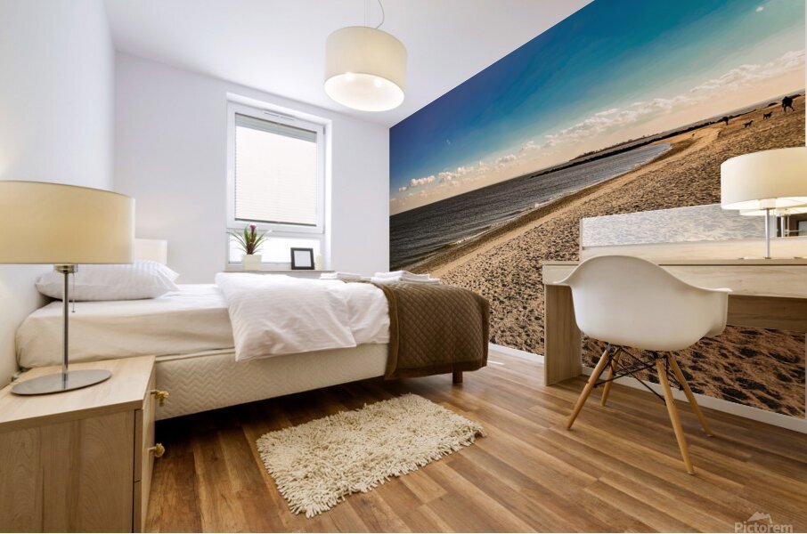 Cape Cod Bay Mural print