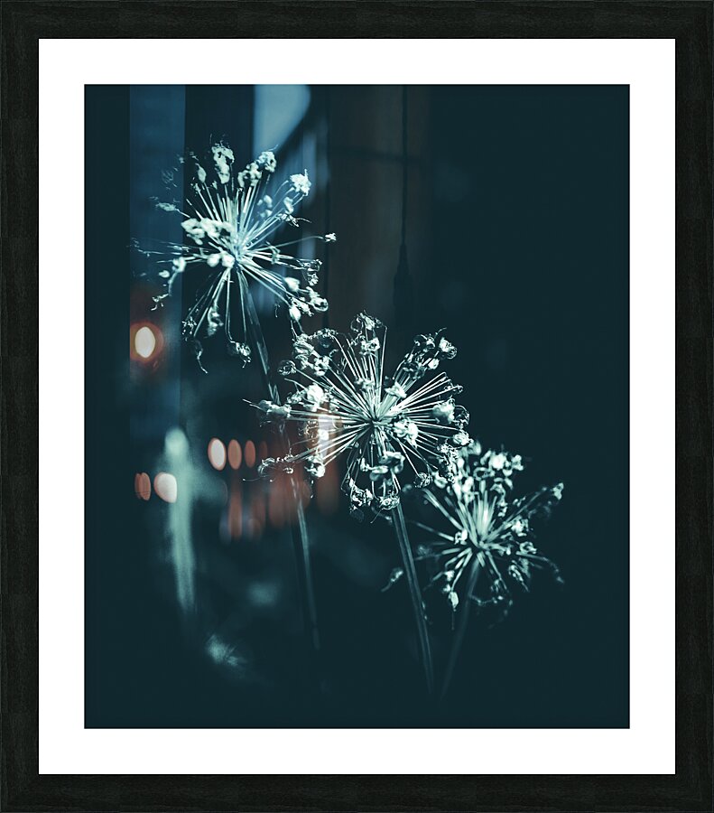 Three Sisters Flower Picture Frame print
