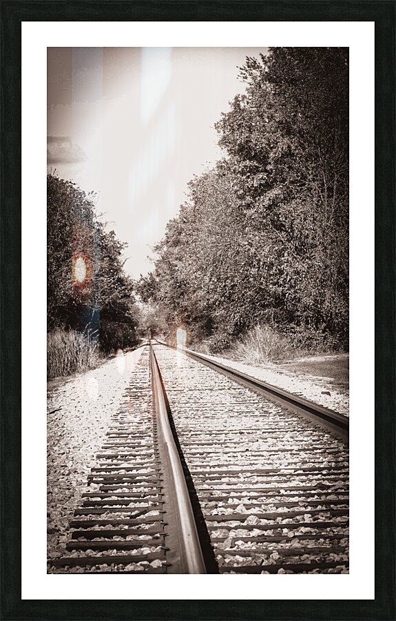 On the Tracks Picture Frame print