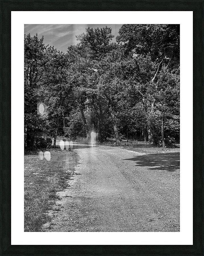 Old dirt path Picture Frame print