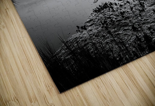 Oyster Beds DirtyBirdStudio puzzle