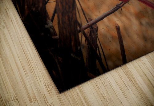 Cardinal  DirtyBirdStudio puzzle