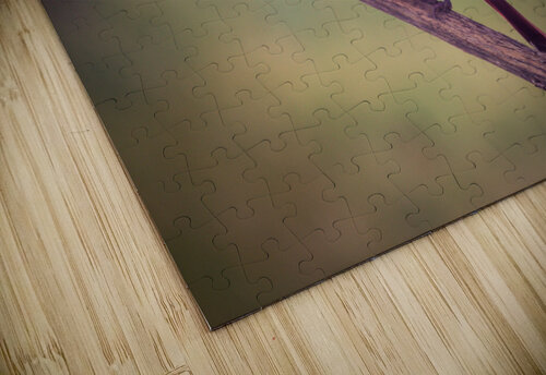 Bird Watch DirtyBirdStudio puzzle