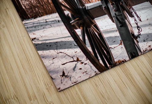 Winter Canon DirtyBirdStudio puzzle